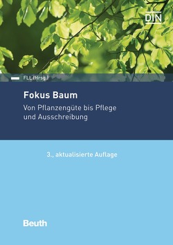 Fokus Baum