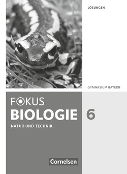 Fokus Biologie – Neubearbeitung – Gymnasium Bayern – 6. Jahrgangsstufe von Biernacki,  Roland, Drechsel,  Markus, Dreyer,  Michael, Freiman,  Thomas, Grabe,  Stefan, Kraus,  Wolf, Nikol,  Nadja, Raßhofer,  Robert, Schneider,  Claudia