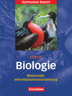 Fokus Biologie – Oberstufe – Gymnasium Bayern – 12. Jahrgangsstufe von Scholz,  Frank, Weber,  Ulrich