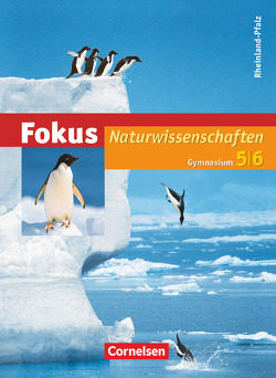 Fokus Naturwissenschaften – Gymnasium Rheinland-Pfalz – 5./6. Schuljahr: Gesamtband von Arnold,  Karin, Backhaus,  Udo, Bresler,  Siegfried, Bruns,  Ekhard, Ehrnsberger,  Ebba, Eilks,  Ingo, Freiman,  Thomas