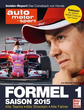 Formel 1 – Saison 2015 von Schmidt,  Michael