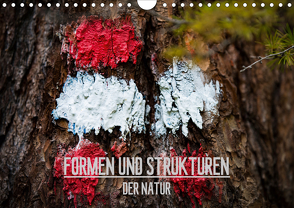 Formen und Strukturen der Natur (Wandkalender 2021 DIN A4 quer) von Grimm Photography,  Mike