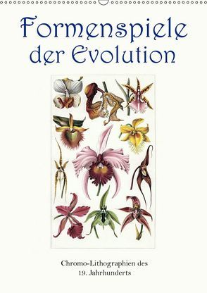 Formenspiele der Evolution. Chromolithographien des 19. Jahrhunderts (Wandkalender 2019 DIN A2 hoch) von Galle,  Jost