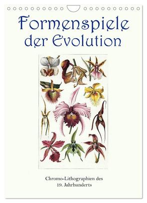 Formenspiele der Evolution. Chromolithographien des 19. Jahrhunderts (Wandkalender 2024 DIN A4 hoch), CALVENDO Monatskalender von Galle,  Jost