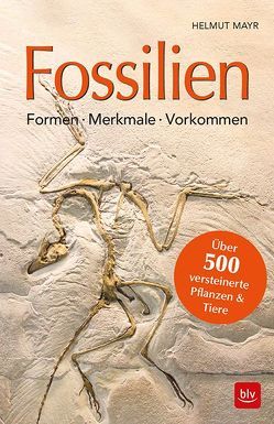 Fossilien von Mayr,  Helmut