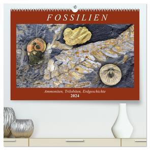 Fossilien – Ammoniten, Trilobiten, Erdgeschichte (hochwertiger Premium Wandkalender 2024 DIN A2 quer), Kunstdruck in Hochglanz von Frost,  Anja