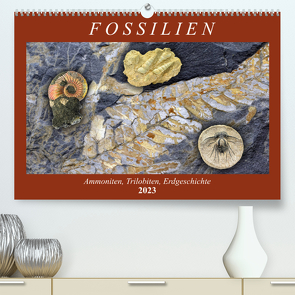Fossilien – Ammoniten, Trilobiten, Erdgeschichte (Premium, hochwertiger DIN A2 Wandkalender 2023, Kunstdruck in Hochglanz) von Frost,  Anja