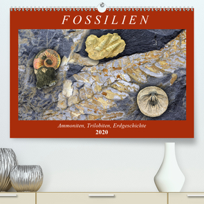 Fossilien – Ammoniten, Trilobiten, Erdgeschichte (Premium, hochwertiger DIN A2 Wandkalender 2020, Kunstdruck in Hochglanz) von Frost,  Anja