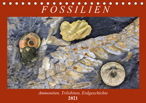 Fossilien – Ammoniten, Trilobiten, Erdgeschichte (Tischkalender 2021 DIN A5 quer) von Frost,  Anja