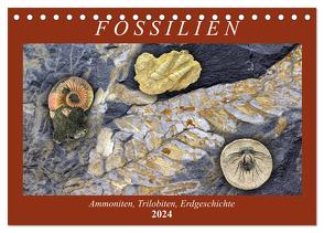 Fossilien – Ammoniten, Trilobiten, Erdgeschichte (Tischkalender 2024 DIN A5 quer), CALVENDO Monatskalender von Frost,  Anja