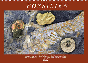 Fossilien – Ammoniten, Trilobiten, Erdgeschichte (Wandkalender 2022 DIN A2 quer) von Frost,  Anja