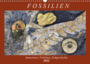 Fossilien – Ammoniten, Trilobiten, Erdgeschichte (Wandkalender 2022 DIN A3 quer) von Frost,  Anja