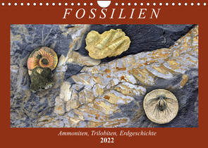 Fossilien – Ammoniten, Trilobiten, Erdgeschichte (Wandkalender 2022 DIN A4 quer) von Frost,  Anja