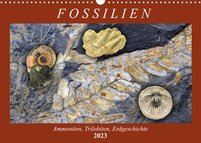 Fossilien – Ammoniten, Trilobiten, Erdgeschichte (Wandkalender 2023 DIN A3 quer) von Frost,  Anja