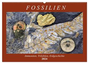 Fossilien – Ammoniten, Trilobiten, Erdgeschichte (Wandkalender 2024 DIN A2 quer), CALVENDO Monatskalender von Frost,  Anja
