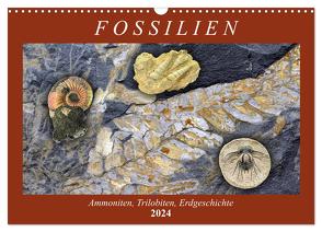 Fossilien – Ammoniten, Trilobiten, Erdgeschichte (Wandkalender 2024 DIN A3 quer), CALVENDO Monatskalender von Frost,  Anja