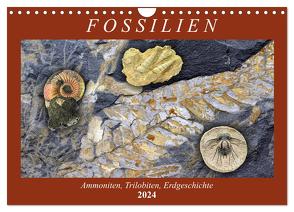 Fossilien – Ammoniten, Trilobiten, Erdgeschichte (Wandkalender 2024 DIN A4 quer), CALVENDO Monatskalender von Frost,  Anja