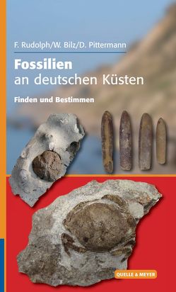 Fossilien an deutschen Küsten von Bilz,  Wolfgang, Pittermann,  Dirk, Rudolph,  Frank