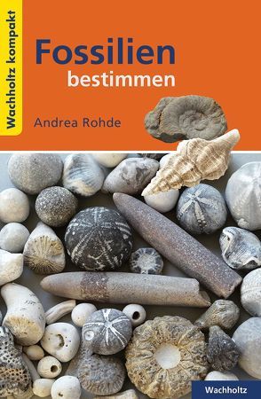 Fossilien bestimmen KOMPAKT von Rohde,  Andrea