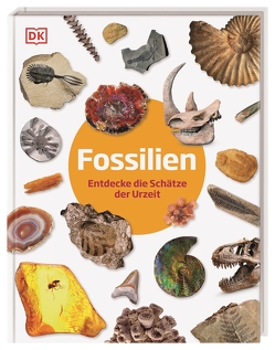 Fossilien von Condé,  Christine, Lomax,  Dean