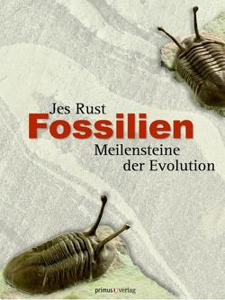 Fossilien von Rust,  Jes
