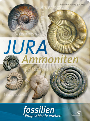 Fossilien Sonderheft „Jura-Ammoniten“ von Redaktion Fossilien, Schweigert,  Günter