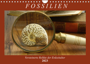 Fossilien – Versteinerte Relikte der Erdzeitalter (Wandkalender 2023 DIN A4 quer) von Frost,  Anja