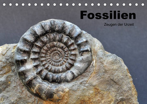 Fossilien – Zeugen der Urzeit (Tischkalender 2023 DIN A5 quer) von Wagner,  Renate