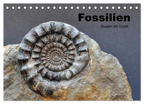 Fossilien – Zeugen der Urzeit (Tischkalender 2024 DIN A5 quer), CALVENDO Monatskalender von Wagner,  Renate