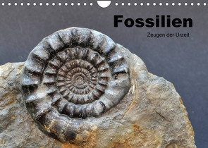 Fossilien – Zeugen der Urzeit (Wandkalender 2022 DIN A4 quer) von Wagner,  Renate