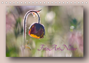 Foto-Art-Natur (Tischkalender 2023 DIN A5 quer) von Berger (Kabefa),  Karin