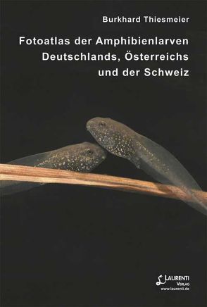 Fotoatlas der Amphibienlarven Deutschlands, Österreichs und der Schweiz von Thiesmeier,  Burkhard