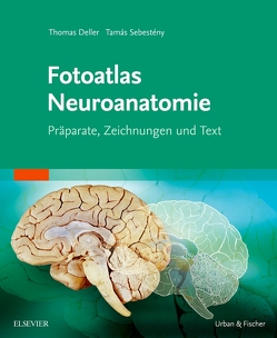 Fotoatlas Neuroanatomie von Deller,  Thomas, Sebesteny,  Tamas