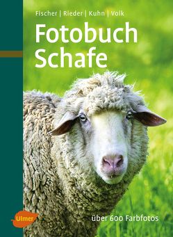 Fotobuch Schafe von Fischer,  Dr. Gerhard, Fridhelm und Renate Volk,  Fridhelm, Rieder,  Hugo