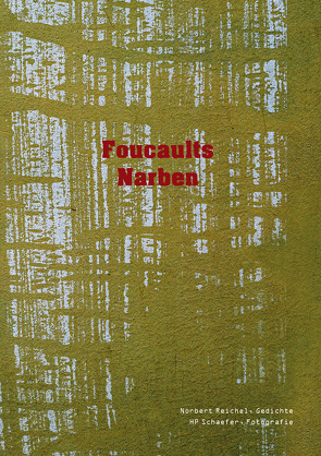 Foucaults Narben von Reichel,  Norbert