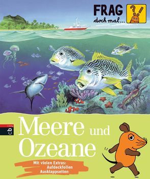 Frag doch mal … die Maus! – Meere und Ozeane von Brandstetter,  Johann, Englert,  Sylvia