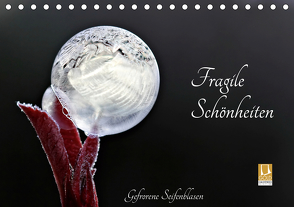 Fragile Schönheiten – Gefrorene Seifenblasen (Tischkalender 2021 DIN A5 quer) von Schiller-Bauer,  Sigrid