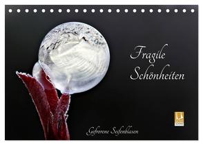 Fragile Schönheiten – Gefrorene Seifenblasen (Tischkalender 2024 DIN A5 quer), CALVENDO Monatskalender von Schiller-Bauer,  Sigrid