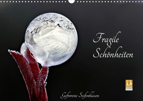 Fragile Schönheiten – Gefrorene Seifenblasen (Wandkalender 2021 DIN A3 quer) von Schiller-Bauer,  Sigrid