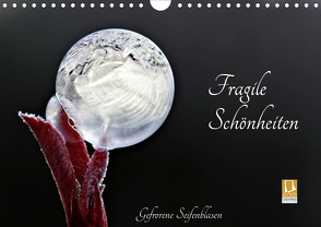 Fragile Schönheiten – Gefrorene Seifenblasen (Wandkalender 2021 DIN A4 quer) von Schiller-Bauer,  Sigrid