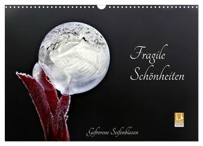 Fragile Schönheiten – Gefrorene Seifenblasen (Wandkalender 2024 DIN A3 quer), CALVENDO Monatskalender von Schiller-Bauer,  Sigrid