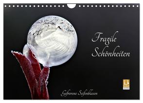 Fragile Schönheiten – Gefrorene Seifenblasen (Wandkalender 2024 DIN A4 quer), CALVENDO Monatskalender von Schiller-Bauer,  Sigrid