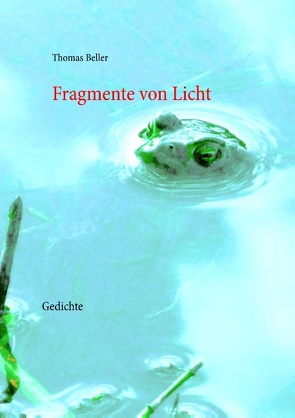 Fragmente von Licht von Beller,  Thomas