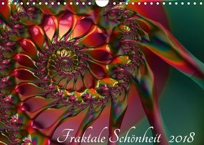 Fraktale Schönheit 2018 (Wandkalender 2018 DIN A4 quer) von M. Burkhardt,  Shako