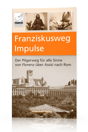 Franziskusweg Impulse von Ochsenkühn,  Anton, Ochsenkühn,  Simone