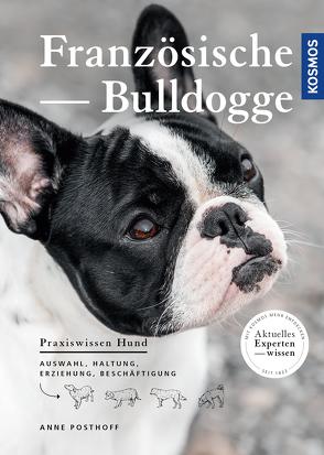 Französische Bulldogge von Posthoff,  Anne