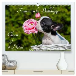 Französische Bulldogge – Clown auf 4 Pfoten (hochwertiger Premium Wandkalender 2024 DIN A2 quer), Kunstdruck in Hochglanz von Starick,  Sigrid
