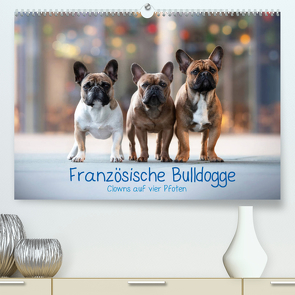 Französische Bulldogge – Clowns auf vier Pfoten (Premium, hochwertiger DIN A2 Wandkalender 2022, Kunstdruck in Hochglanz) von Wobith Photography - FotosVonMaja,  Sabrina