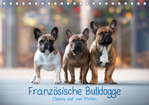 Französische Bulldogge – Clowns auf vier Pfoten (Tischkalender 2021 DIN A5 quer) von Wobith Photography - FotosVonMaja,  Sabrina