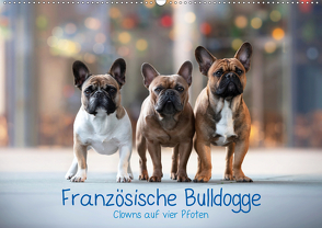 Französische Bulldogge – Clowns auf vier Pfoten (Wandkalender 2021 DIN A2 quer) von Wobith Photography - FotosVonMaja,  Sabrina